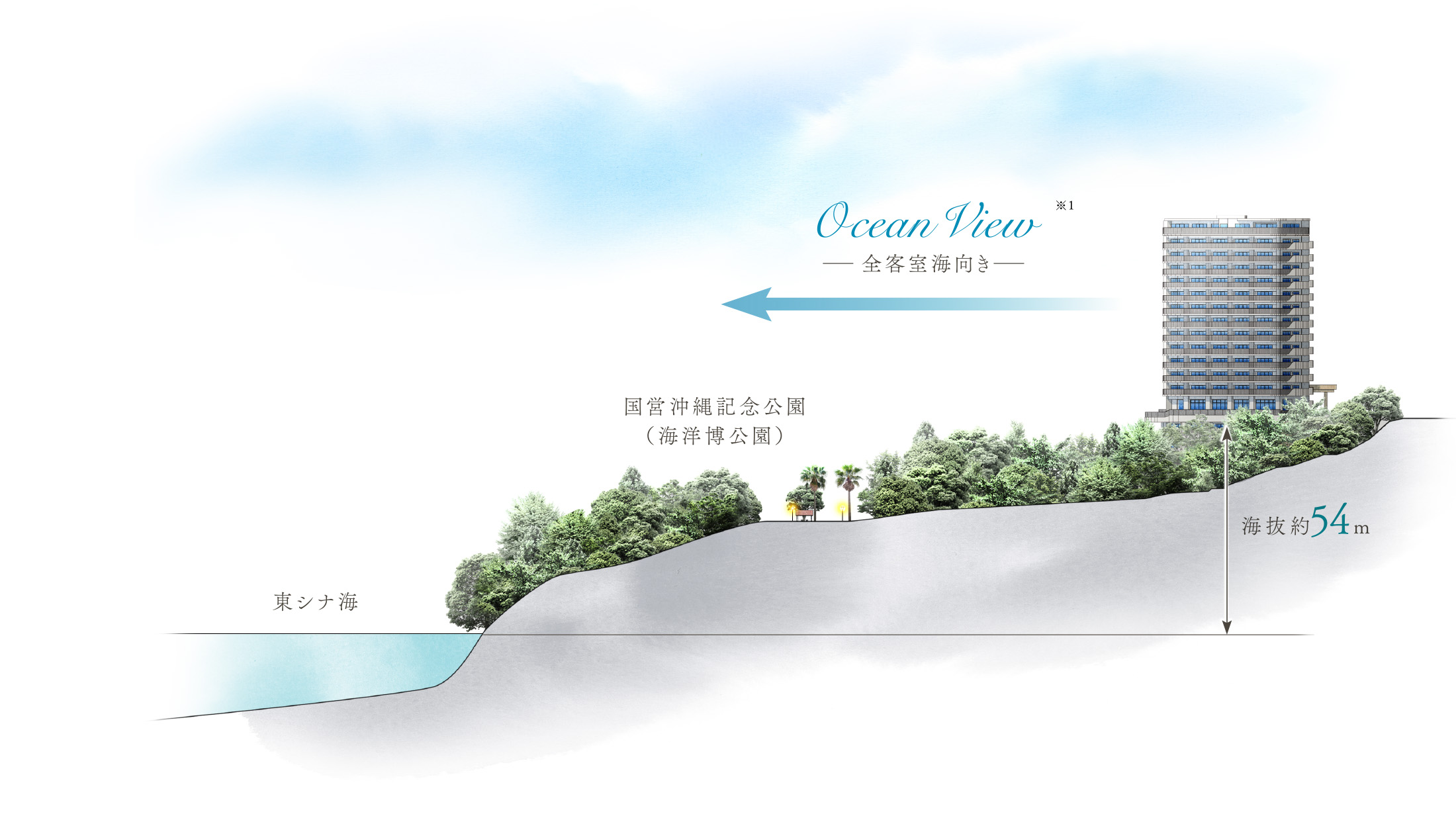 立地断面イメージイラスト
