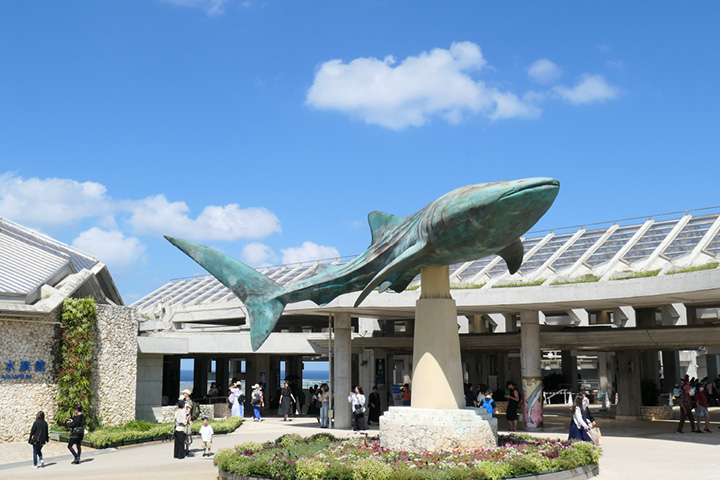 国営沖縄記念公園（海洋博公園）・沖縄美ら海水族館