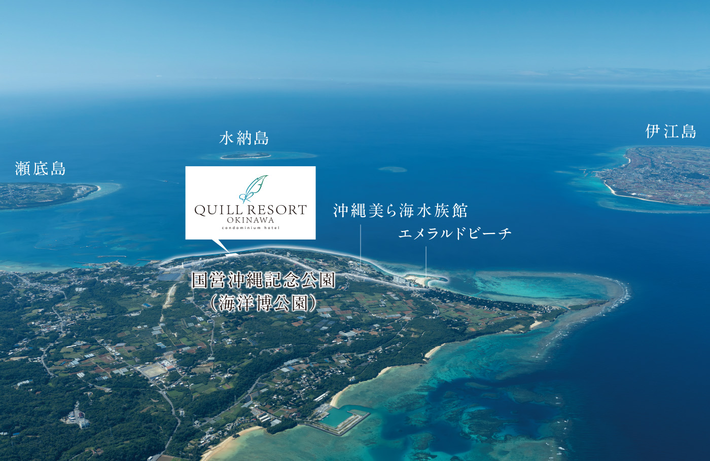 航空写真